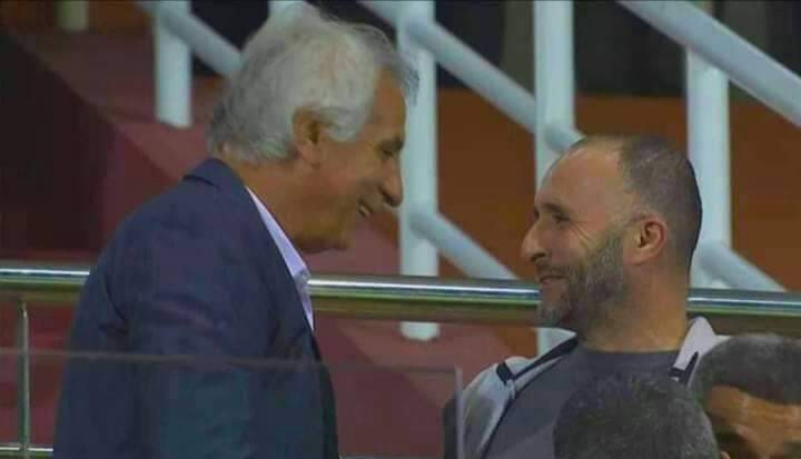 Quipe Nationale Vahid Halilhod I Belmadi A R Alis Un Travail